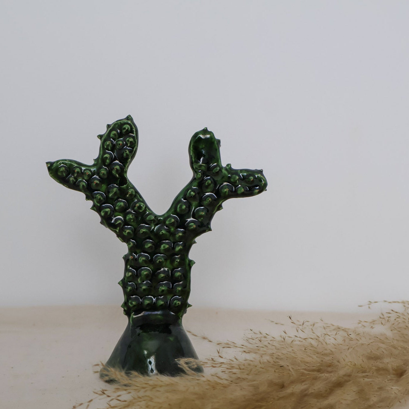 Cactus décoratif Sabbar – Collection Tamegroute