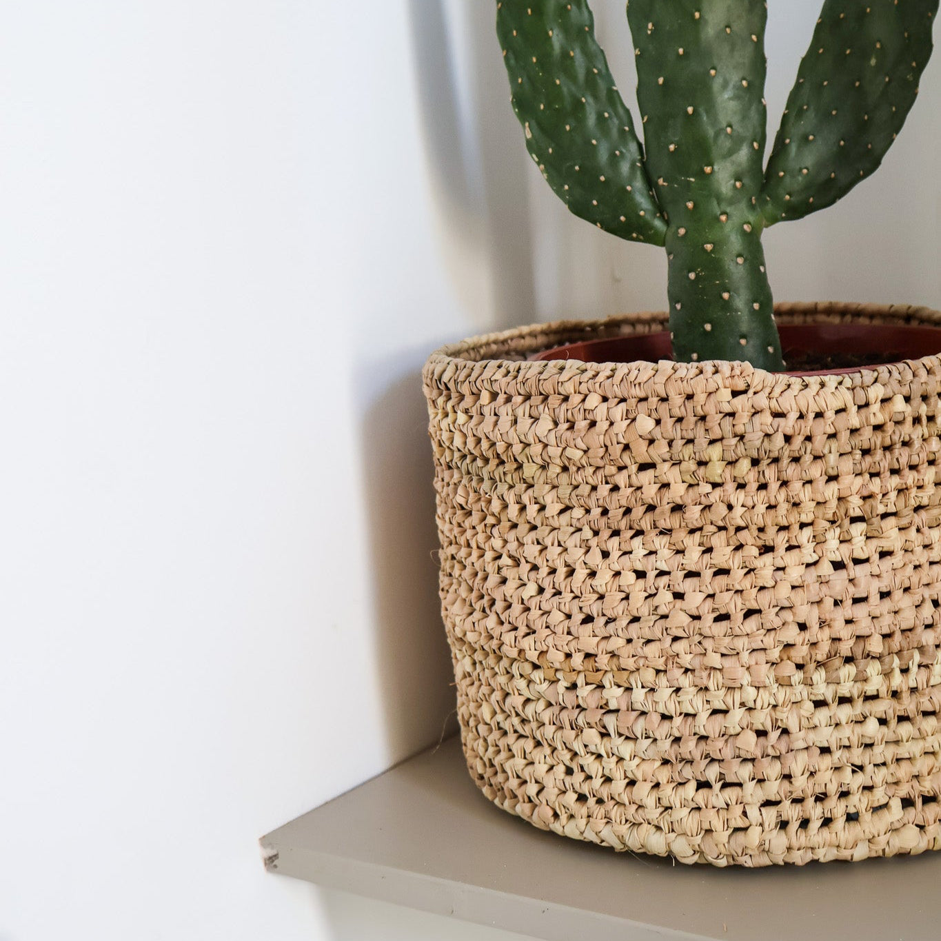 cache-pot-osier-marocain-21cm-maison-asli avec cactus