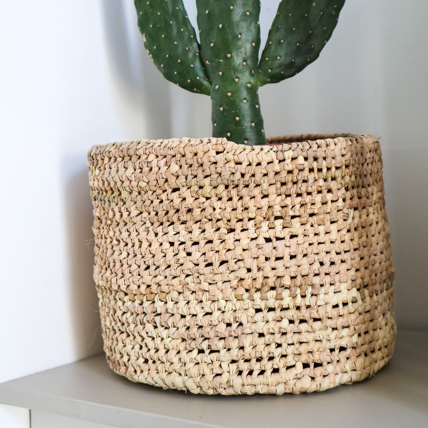 cache-pot-osier-marocain-21cm-maison-asli avec cactus